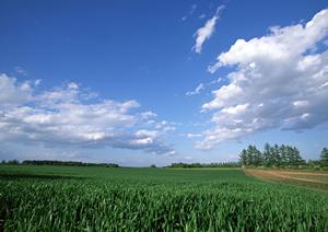 静岡市清水区に位置する家族葬向け斎場の「富士葬祭 折戸」:安心と上質な空間を提供する葬儀場の詳細情報
