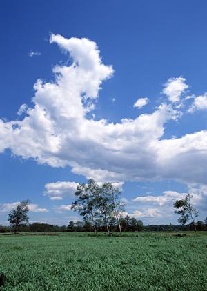ベルベの葬儀の利点や特徴について