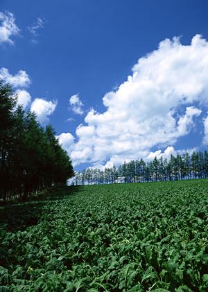 法事に慌てずにすむ品揃えとサービス