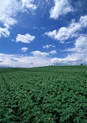 静岡市で選ばれる信頼の葬儀施設 – 富士葬祭 清水有東坂の特徴とサービス内容