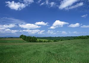 新しい形のお墓を提供している納骨堂です