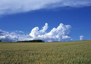 海洋散骨の魅力・メリットを紹介します