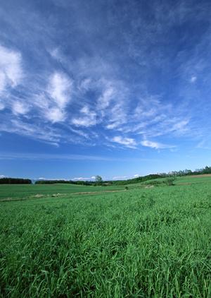 静岡県浜松市の安心・信頼の葬儀会場【富士葬祭 三方原】の特徴とサービス内容