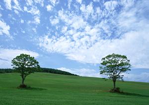 【公式ガイド】栃木市で選ばれる葬儀場「さがみ典礼 栃木昭和町」の特徴とサービス詳細