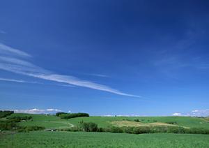 静岡県焼津市の家族葬の専門斎場「家族葬のタクセル焼津」の特徴と利用メリット