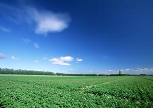 手元供養について検討している場合に