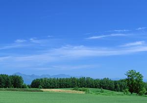 川越の経験豊富なE葬儀屋に注目