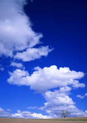 栃木県宇都宮市の家族葬専門斎場『家族葬のタクセル今泉新町』の特徴・料金・アクセス情報【2023年11月OPEN】