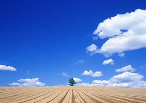 川越市で家族葬や自由葬を執り行うなら