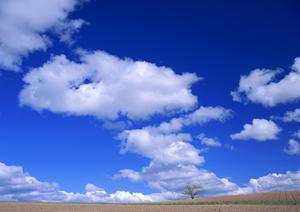 さいたまの頼れる葬儀屋さんについて