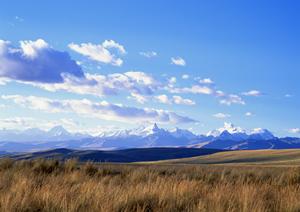 家族葬でも利用することができる