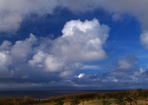 家族葬のプランが充実で安心の葬儀社