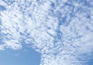 静岡県にある納骨堂をお探しなら