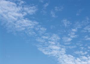 近畿のペット火葬なら大阪のこの会社へ