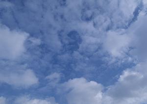 静岡県にある歴史のある寺について