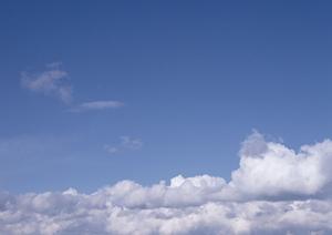 樹木葬用の墓地は山林が望ましい