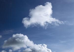 東京の中心で誰もが永眠できる真英寺