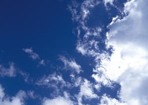 東京での樹木葬を選択する魅力について