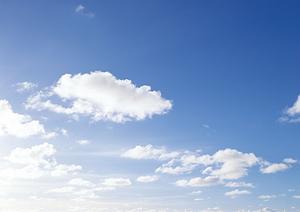 23区で選ぶ理想のお墓:家族を想う永代供養の選択肢ガイド