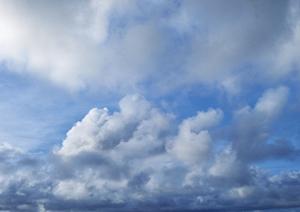 医王寺に建設される薬師堂堂内墓地の特徴