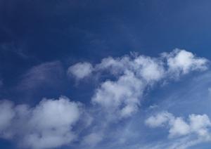 東京にある納骨堂の特徴について