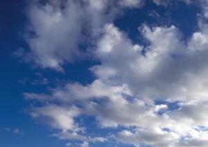 現代的な施設の中にある浅草のお墓