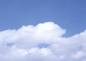 大阪で墓地をお探しならアクセス便利な寺