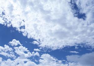 納骨堂を東京で探す参考になります