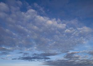 ファミーユの家族葬のプランや料金
