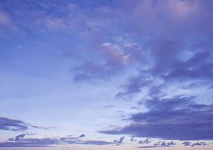 静岡県エリアで信頼できる葬儀サービスの全て:家族葬から直葬まで低価格で提供