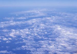 流山市の家族葬はあさひ葬祭がおすすめ