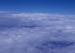 無宗教でも申し込める自然葬のご案内