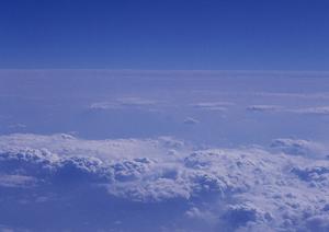 葬儀会社を探すときのポイントとは